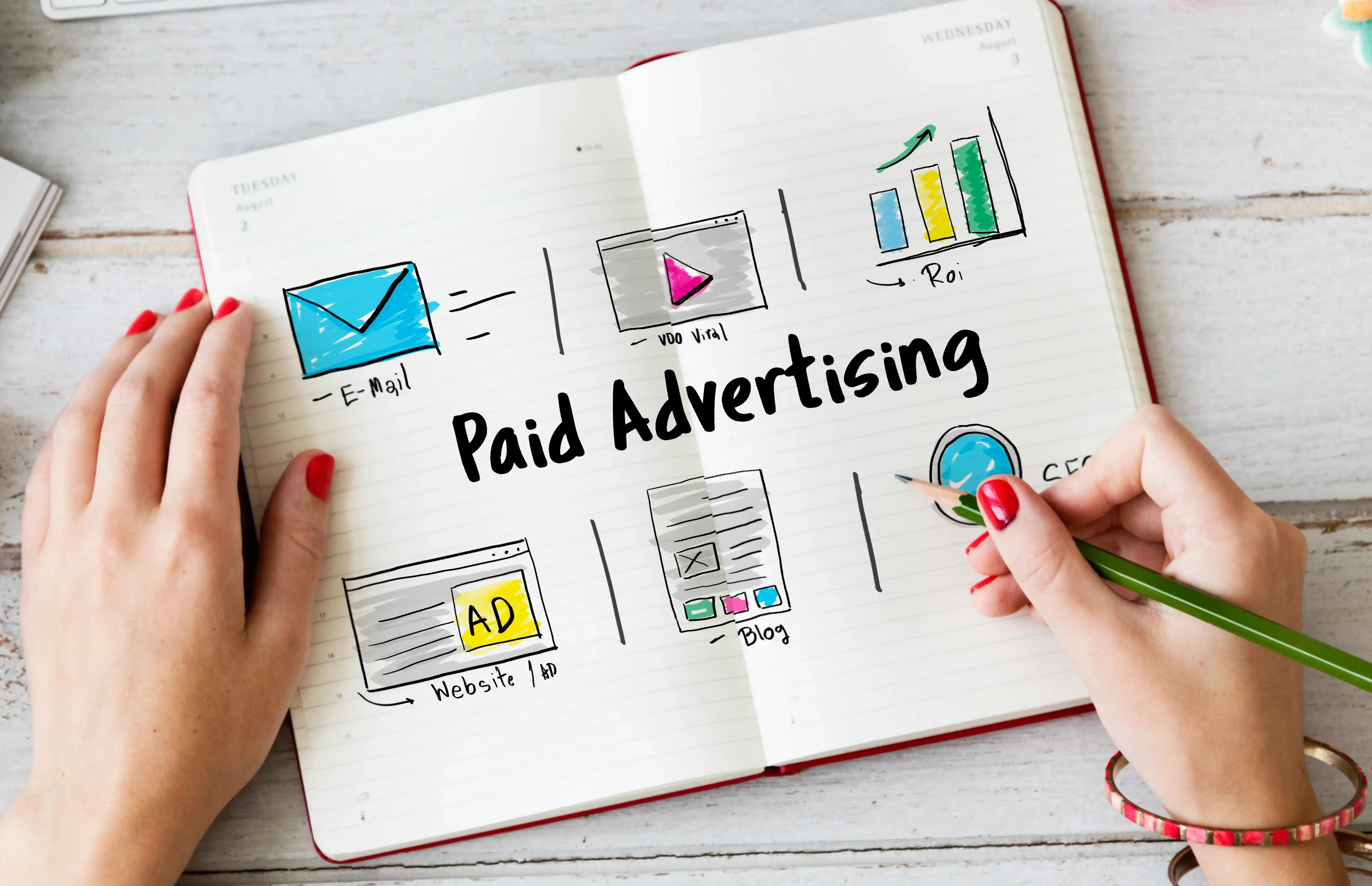 Campagnes Paid Ads optimisées pour un ROI maximal – WolfNova